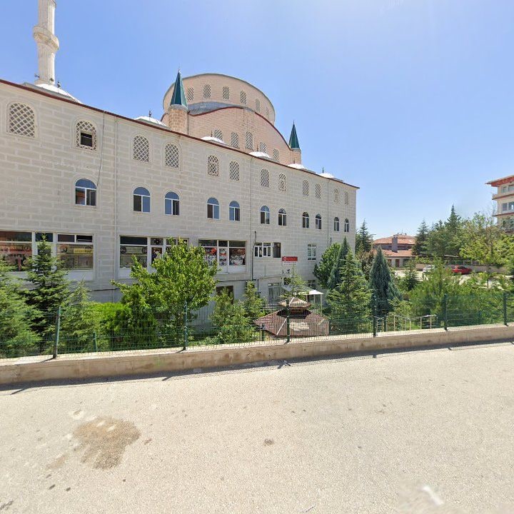 Fotoğraf 6