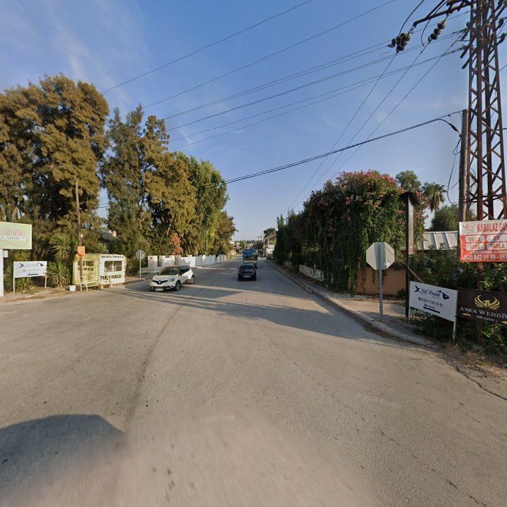 Fotoğraf 11