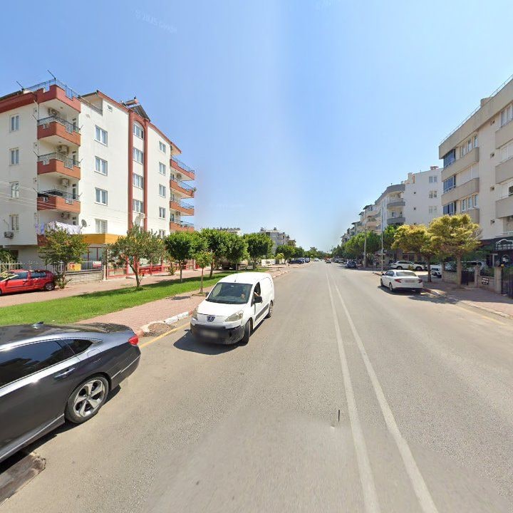 Fotoğraf 12