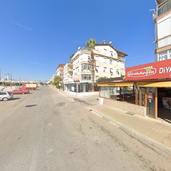 Fotoğraf 11