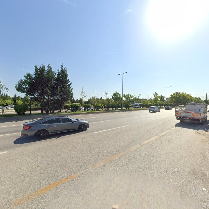 Fotoğraf 11