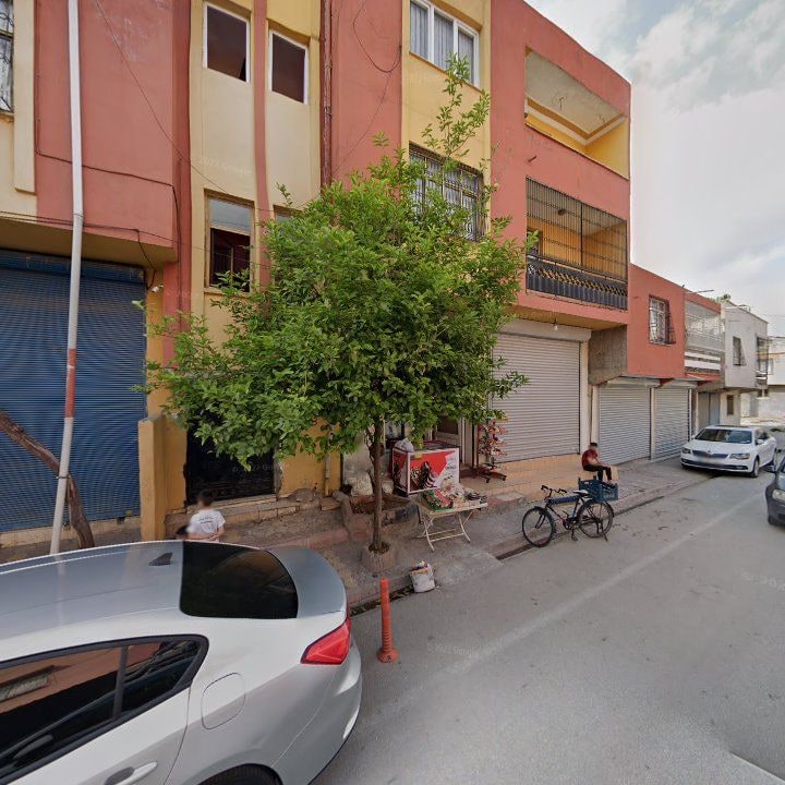 Fotoğraf 8