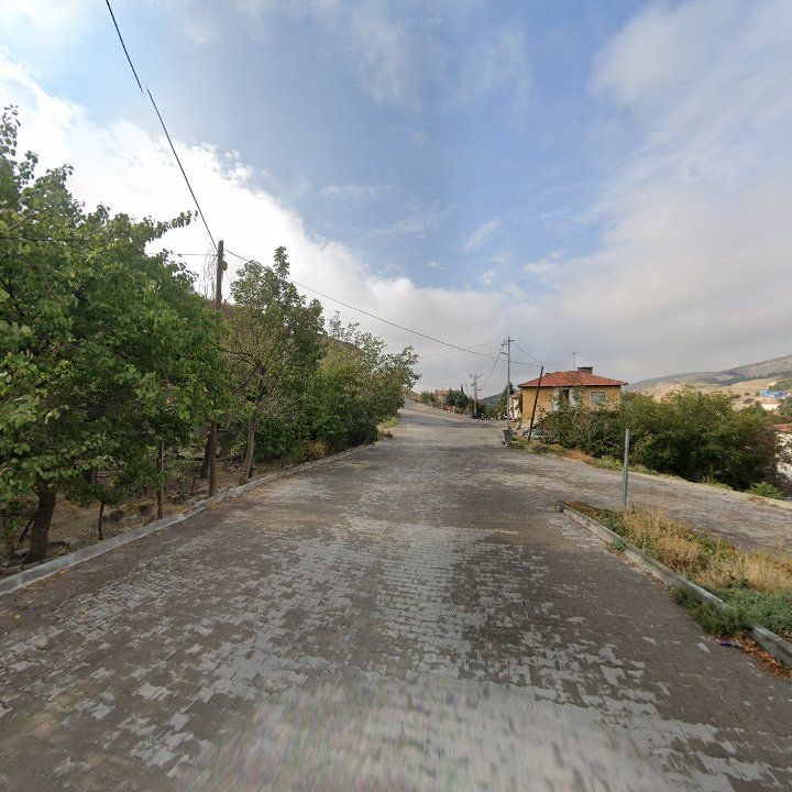 Fotoğraf 9