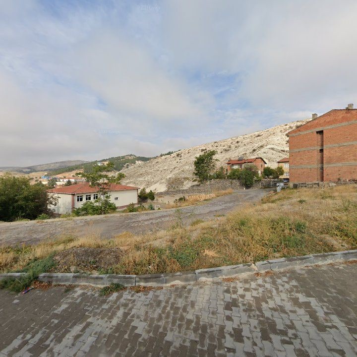 Fotoğraf 10