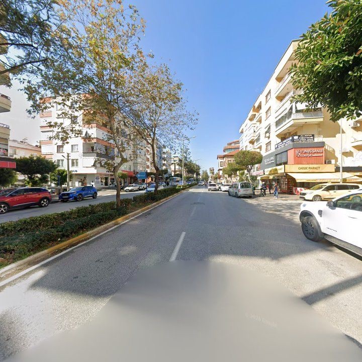 Fotoğraf 9
