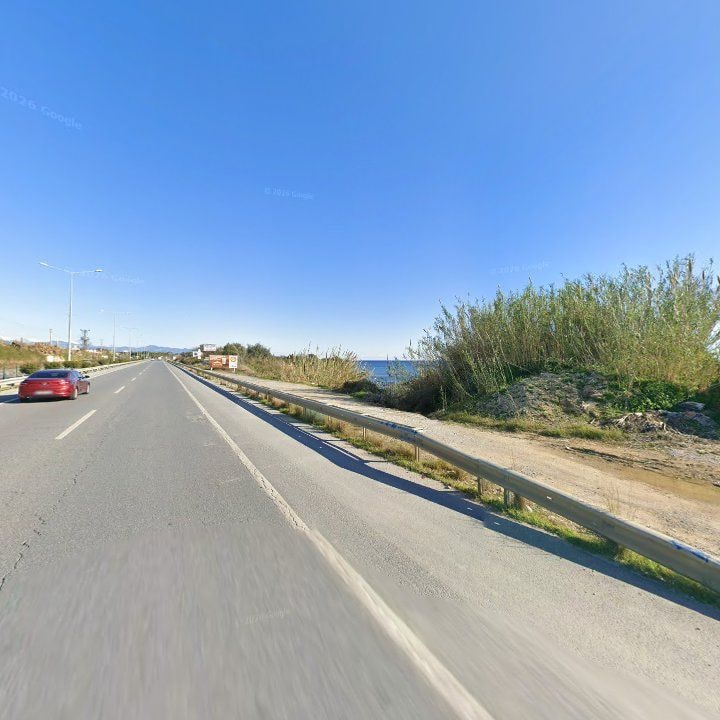 Fotoğraf 13