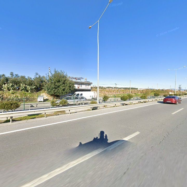 Fotoğraf 12