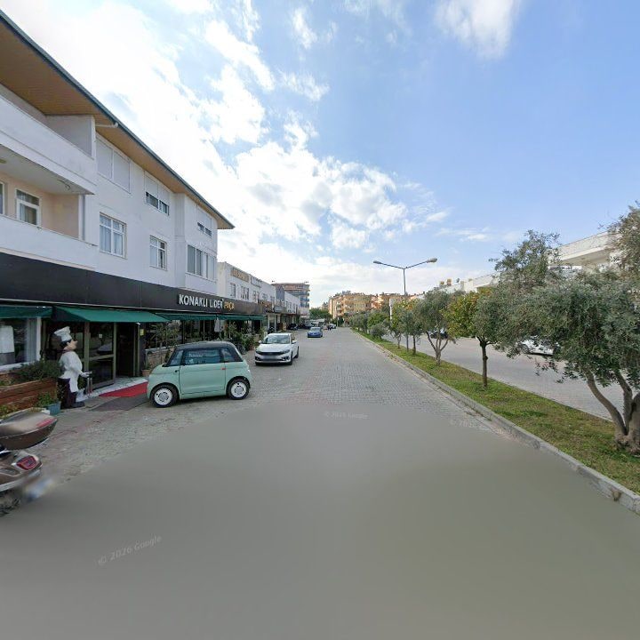 Fotoğraf 8