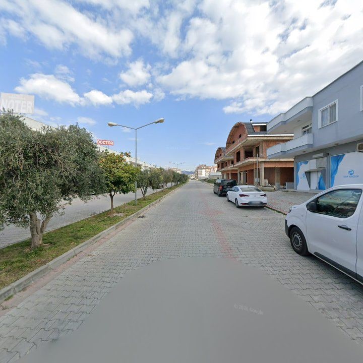 Fotoğraf 10