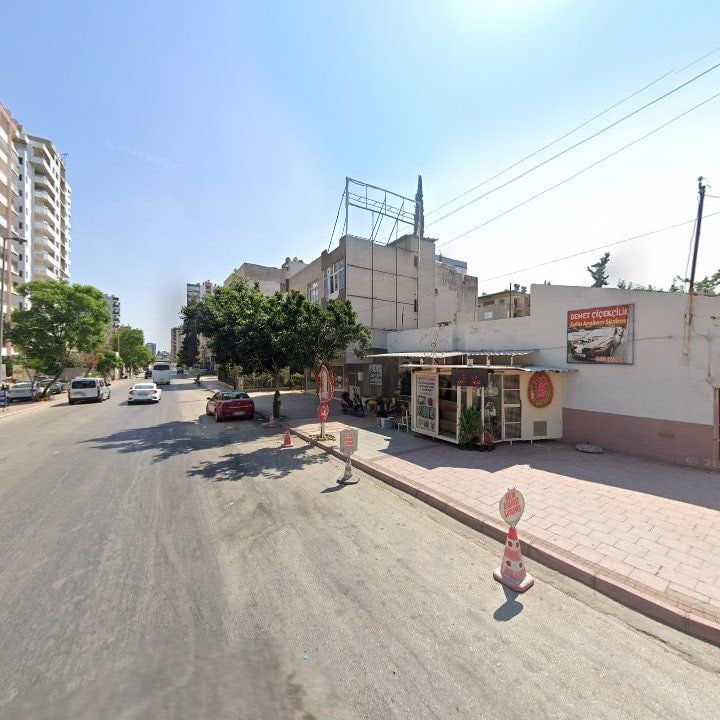 Fotoğraf 5