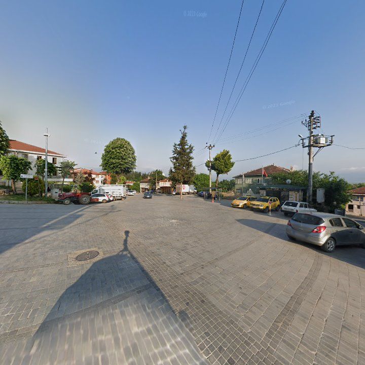 Fotoğraf 6