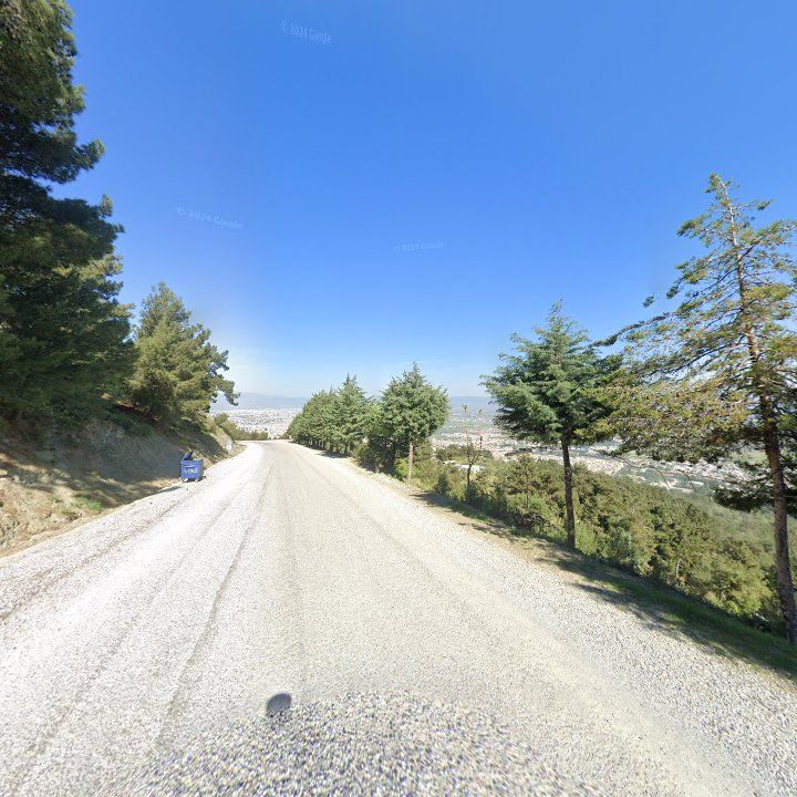 Fotoğraf 10