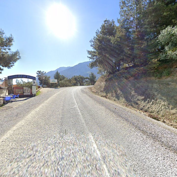 Fotoğraf 8