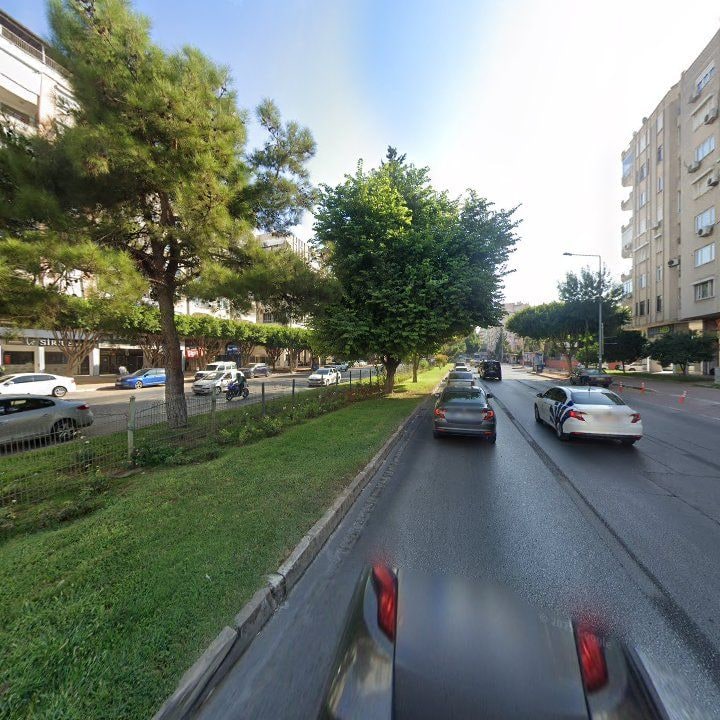 Fotoğraf 12