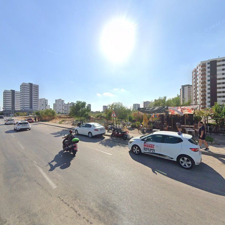 Fotoğraf 7