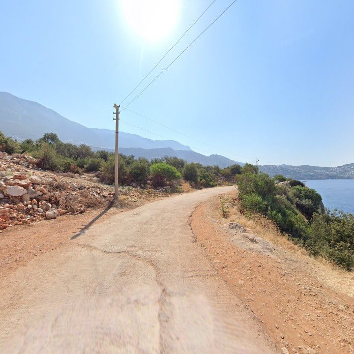 Fotoğraf 6