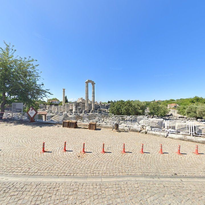 Fotoğraf 8