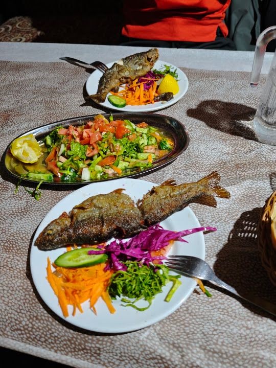 Taşatan Alabalık Çitliği