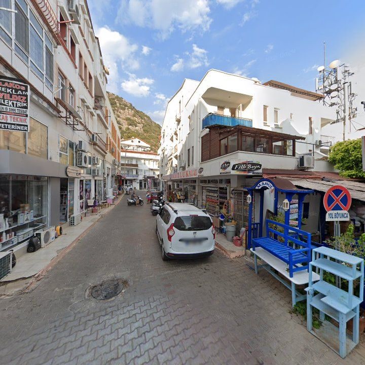 Fotoğraf 10