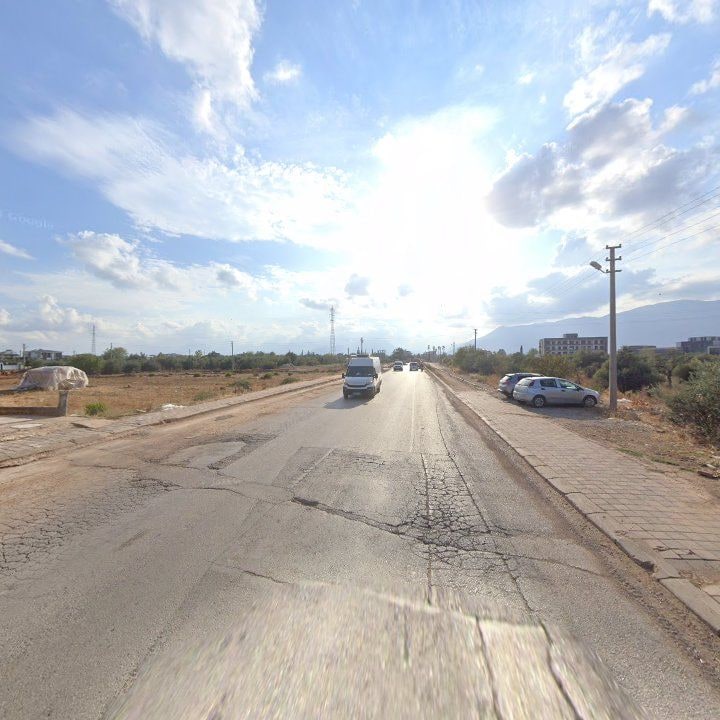 Fotoğraf 7