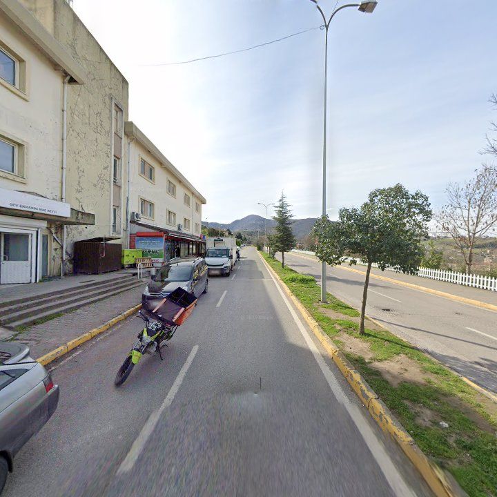 Fotoğraf 6