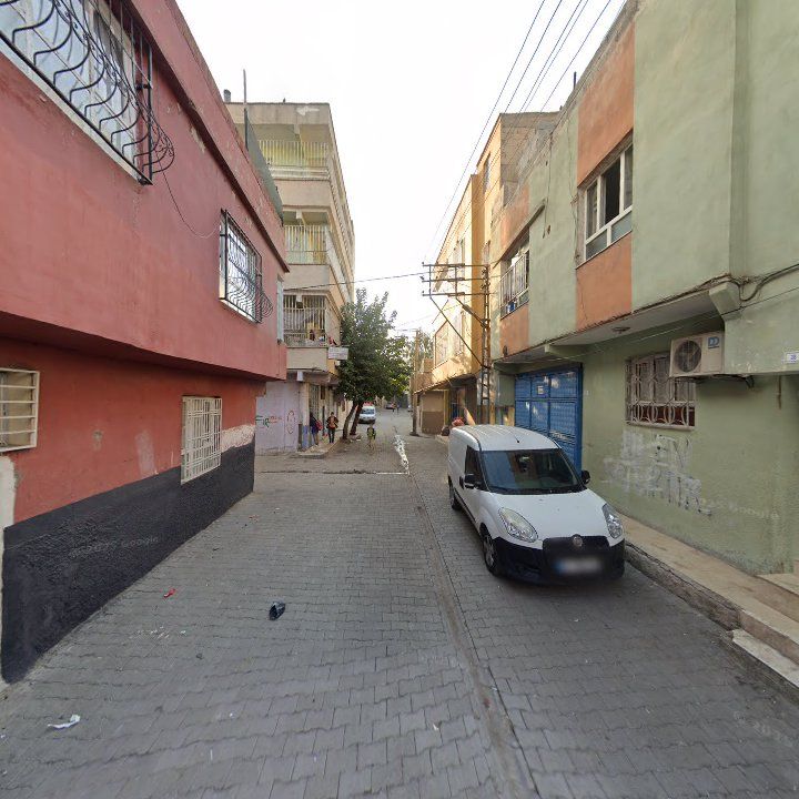Fotoğraf 3