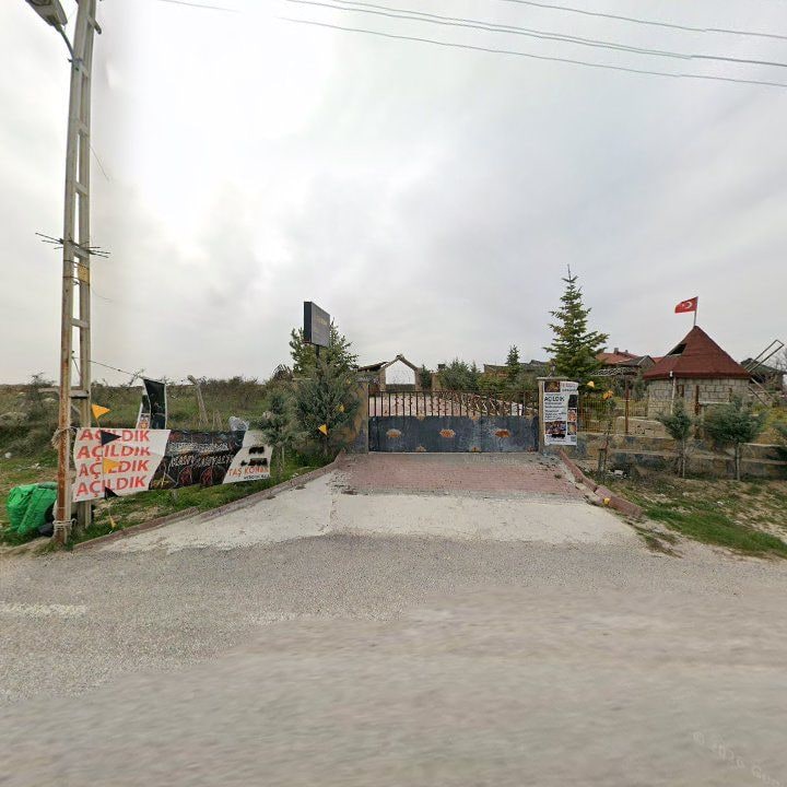 Fotoğraf 6