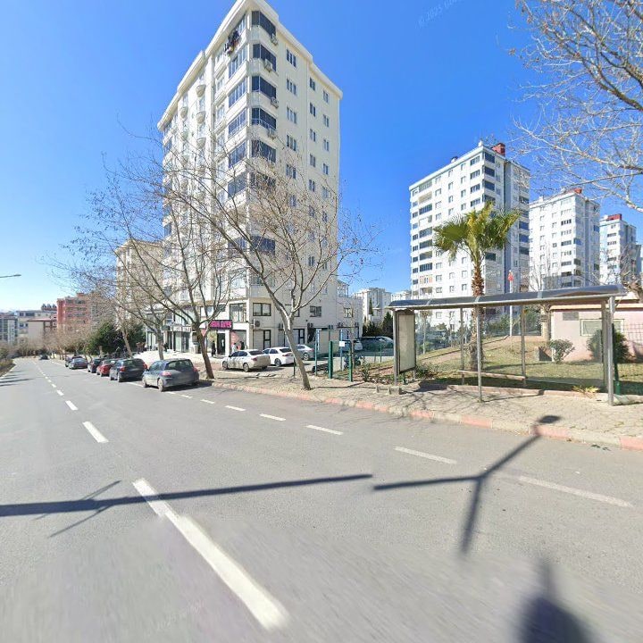 Fotoğraf 8
