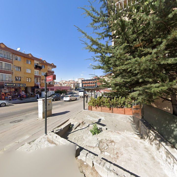 Fotoğraf 7