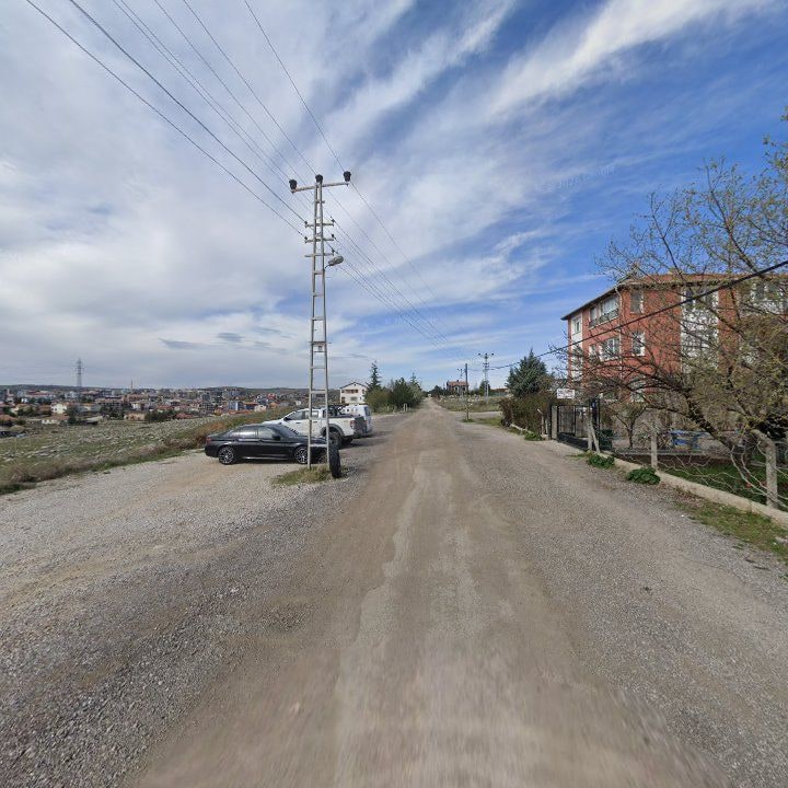 Fotoğraf 10