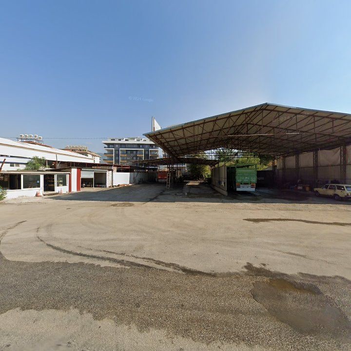 Fotoğraf 6