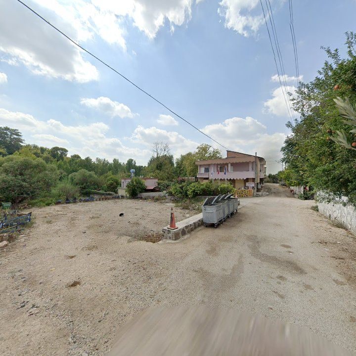 Fotoğraf 8
