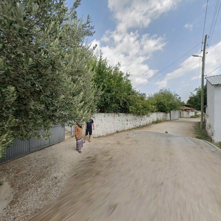 Fotoğraf 10