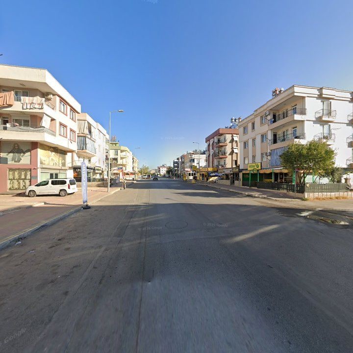 Fotoğraf 9