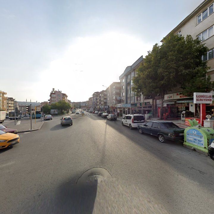 Fotoğraf 9