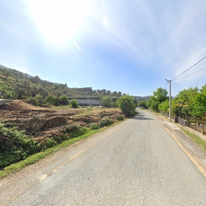 Fotoğraf 10