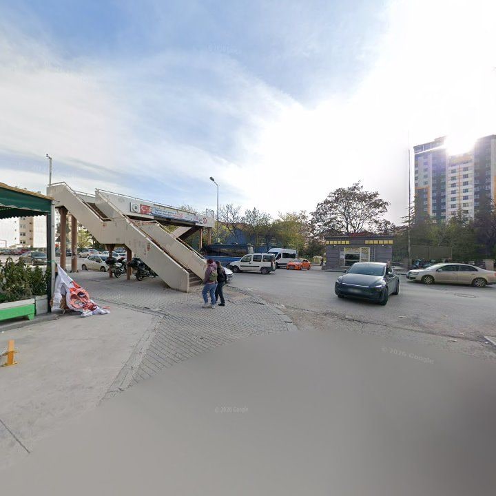 Fotoğraf 11