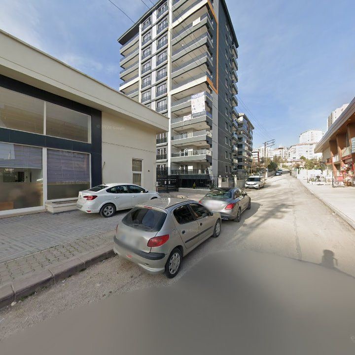 Fotoğraf 13
