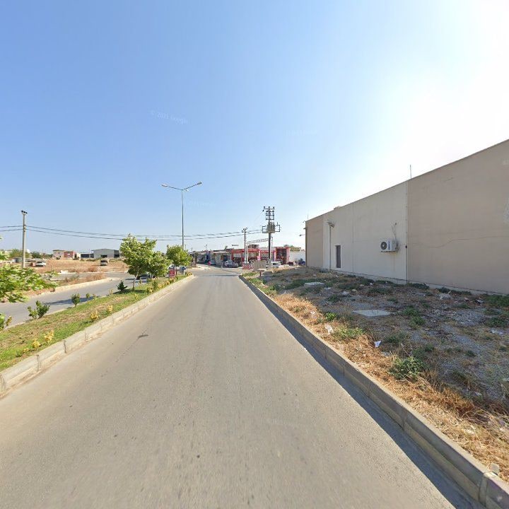 Fotoğraf 7