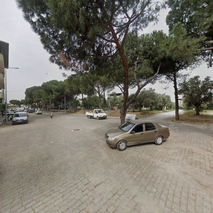 Fotoğraf 8