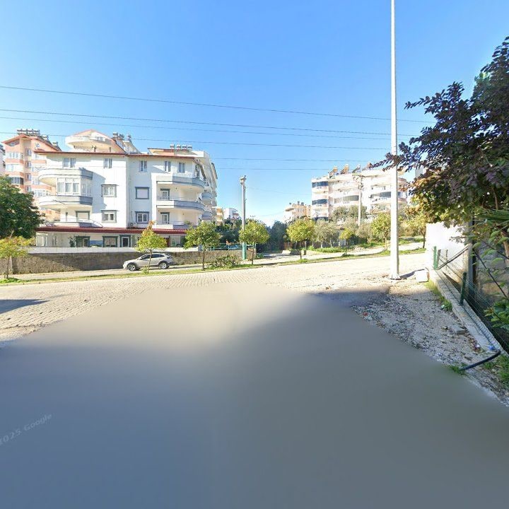 Fotoğraf 12