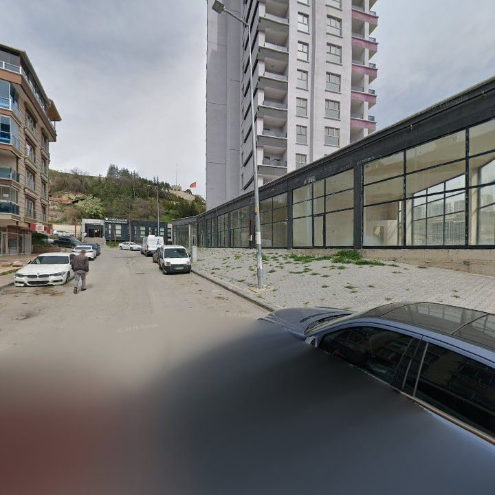 Fotoğraf 7
