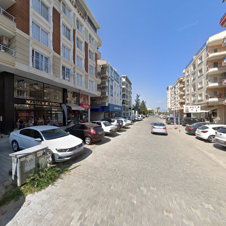 Fotoğraf 13