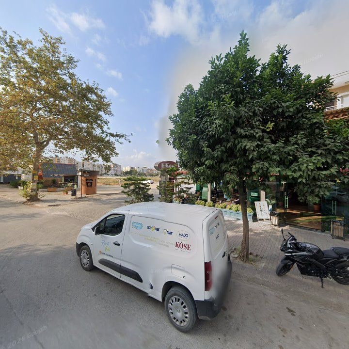 Fotoğraf 10