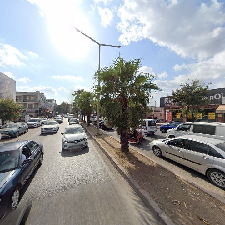 Fotoğraf 8
