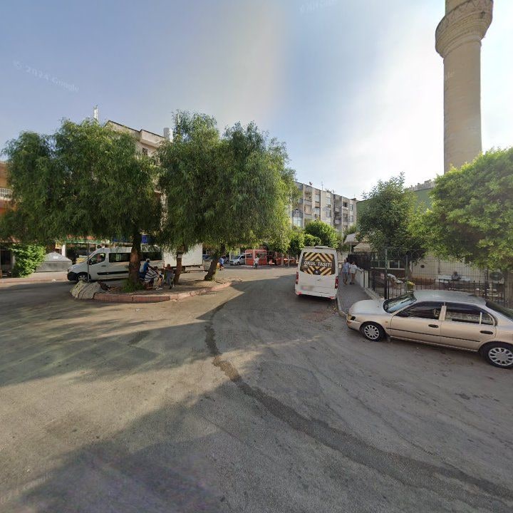 Fotoğraf 10
