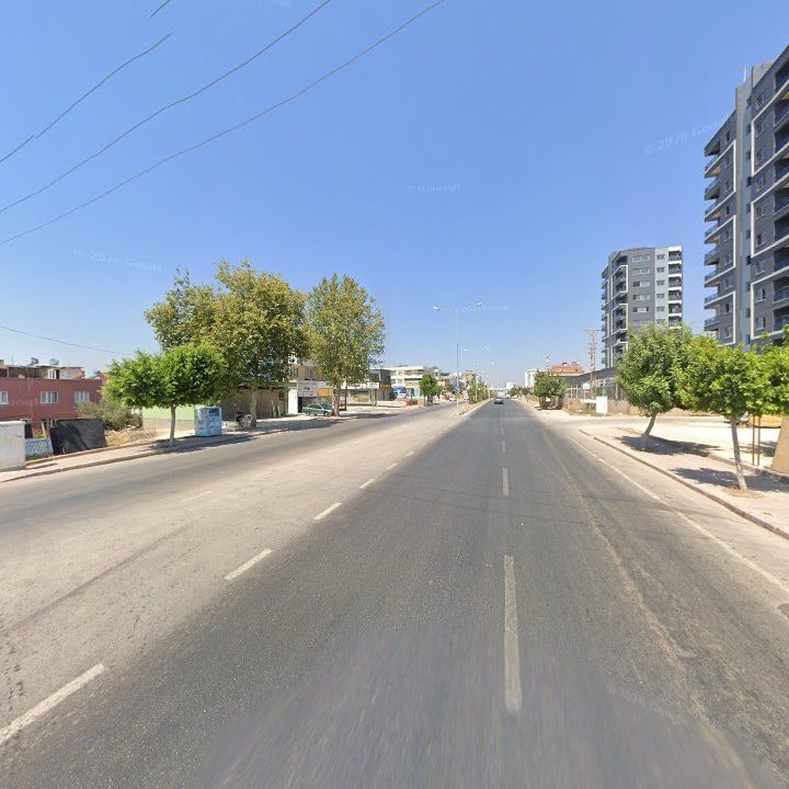 Fotoğraf 7