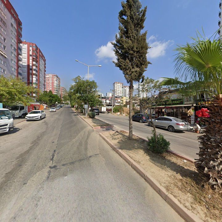 Fotoğraf 8