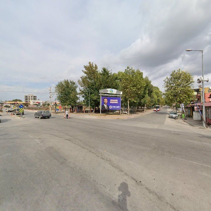 Fotoğraf 6