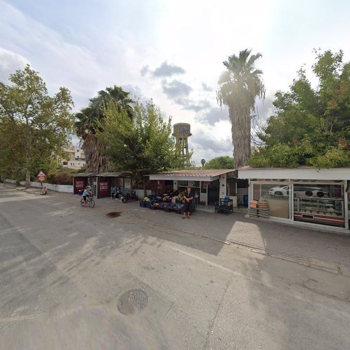 Fotoğraf 8